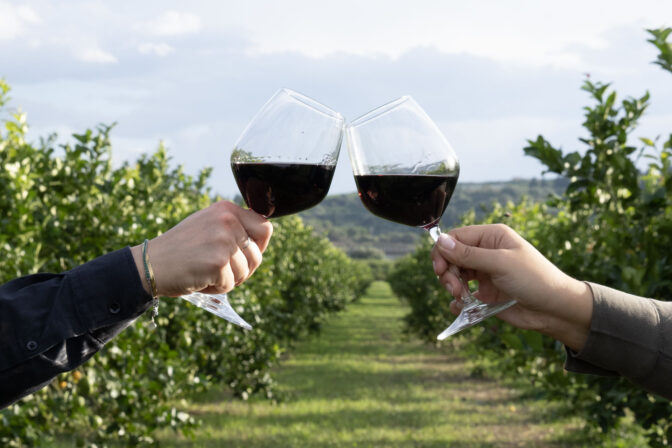 Terre e Vini di Sicilia